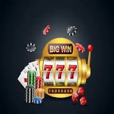 555win